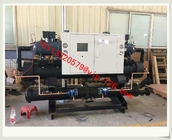 RS-L120WS Dual Screw Compressor Water Chiller/ Water cooled industrial water chiller for injection molding machine