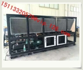 RS-LF170AS Air-cooled Central Screw Chiller/ Air Cooled Screw Chiller/ Industrial Chiller For Indonesia